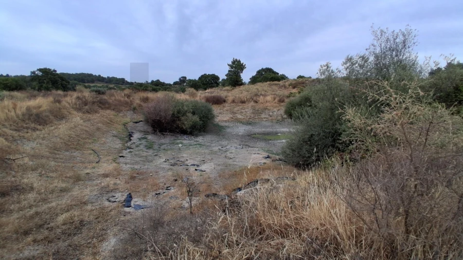 Terreno para Venda em São Miguel de Acha Foto 9