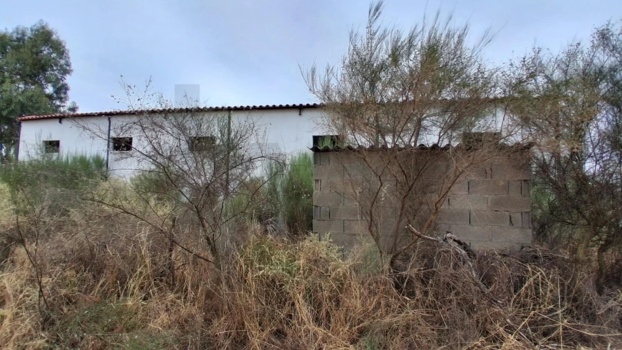 Terreno para Venda em São Miguel de Acha Foto 2