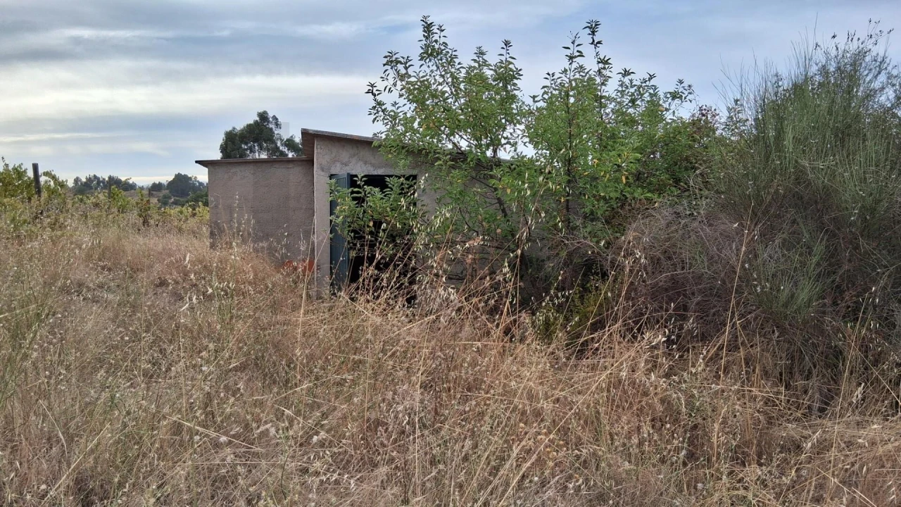Terreno para Venda em São Miguel de Acha Foto 8