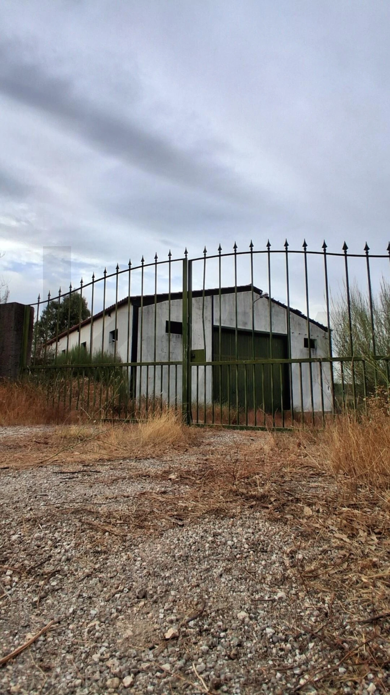 Terreno para Venda em São Miguel de Acha Foto 11