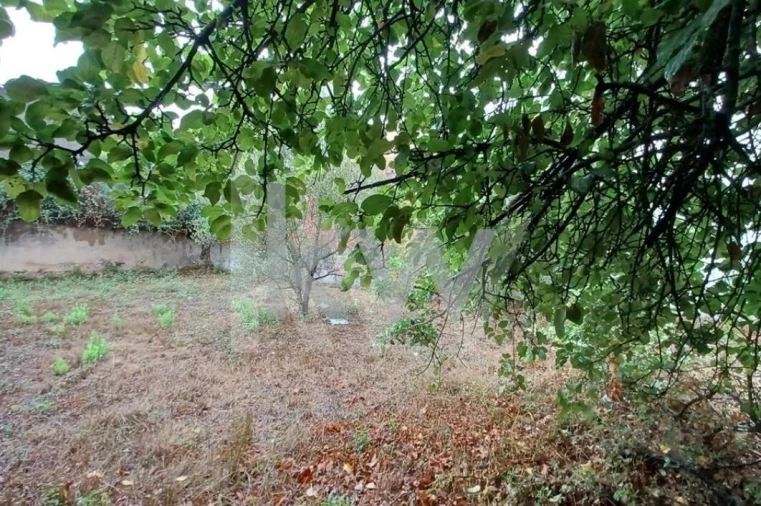 Prédio para Venda em Cartaxo e Vale da Pinta Foto 13