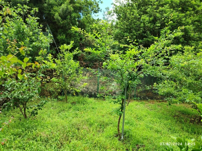 Terreno para Venda em Seixal Foto 3