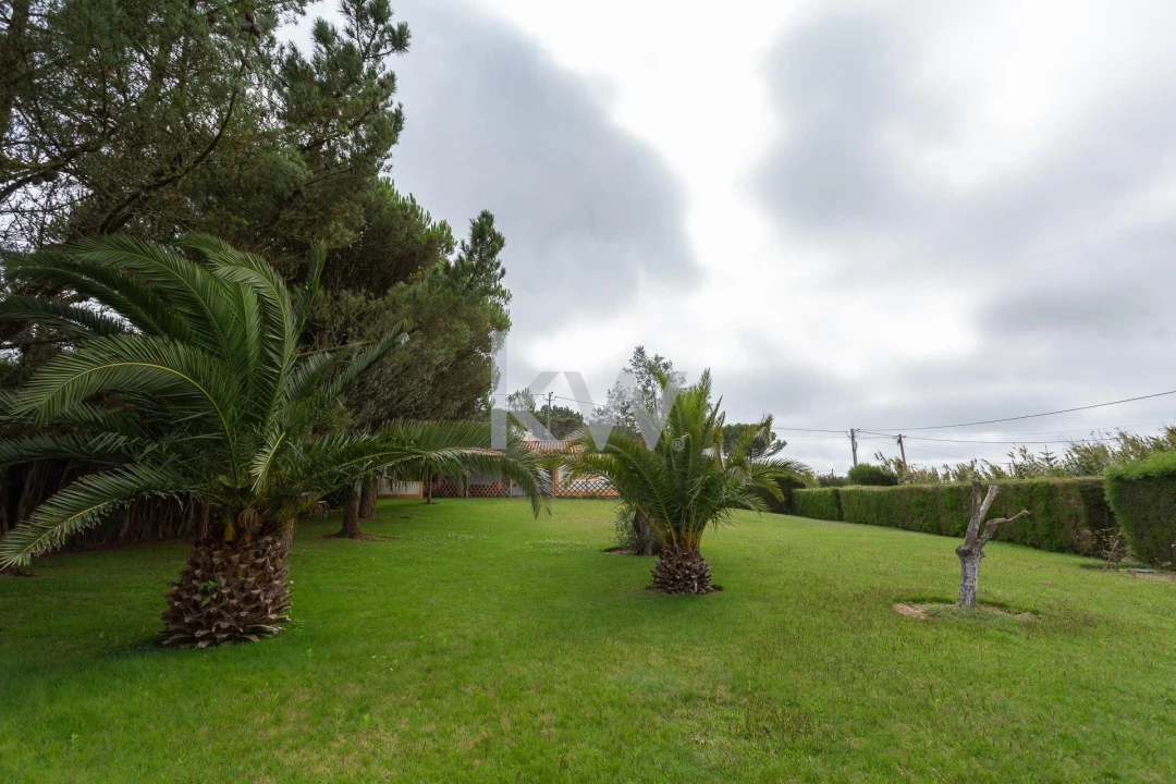 Quinta T1 para Venda em Encarnação Foto 8