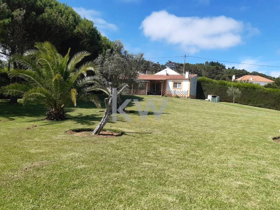 Quinta T1 para Venda em Encarnação Foto 2