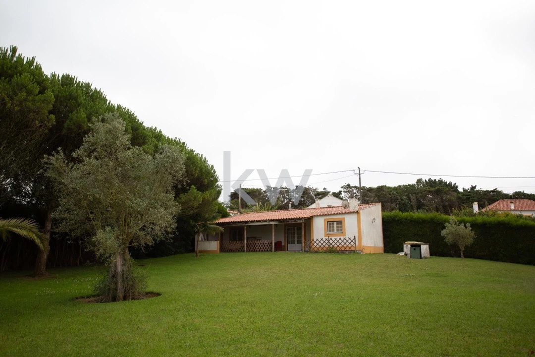 Quinta T1 para Venda em Encarnação Foto 22