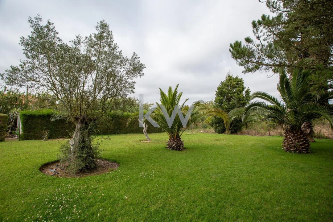 Quinta T1 para Venda em Encarnação Foto 11
