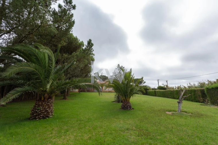 Quinta T1 para Venda em Encarnação Foto 8