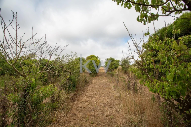 Quinta T1 para Venda em Encarnação Foto 12