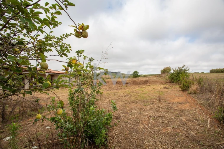 Quinta T1 para Venda em Encarnação Foto 14