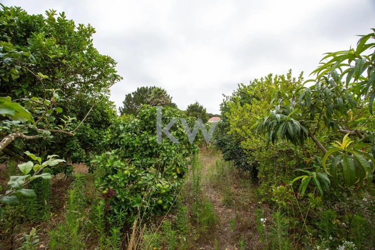 Quinta T1 para Venda em Encarnação Foto 20