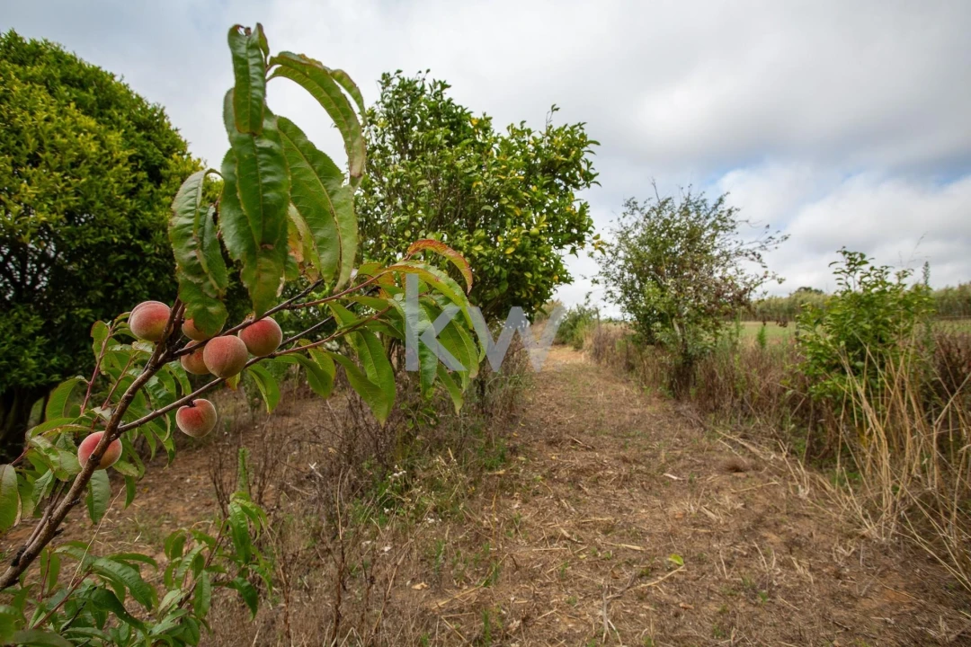Quinta T1 para Venda em Encarnação Foto 13