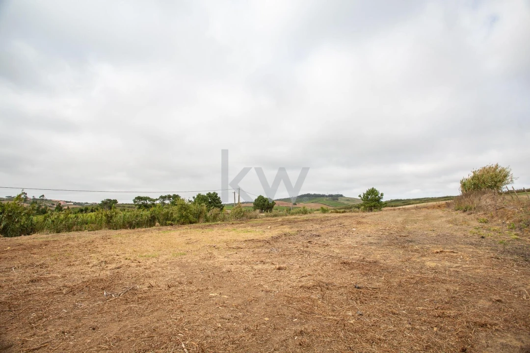 Quinta T1 para Venda em Encarnação Foto 17