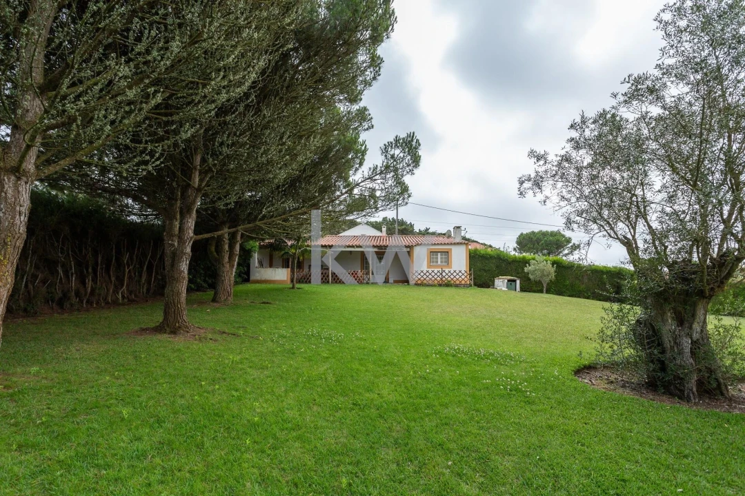 Quinta T1 para Venda em Encarnação Foto 9