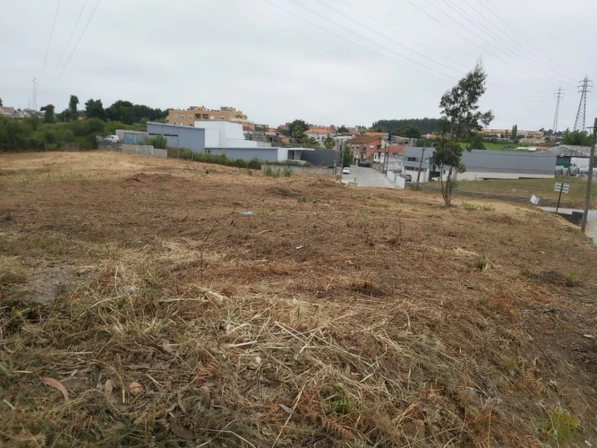 Terreno Agricola ou Rústico para Venda em Serzedo e Perosinho Foto 2