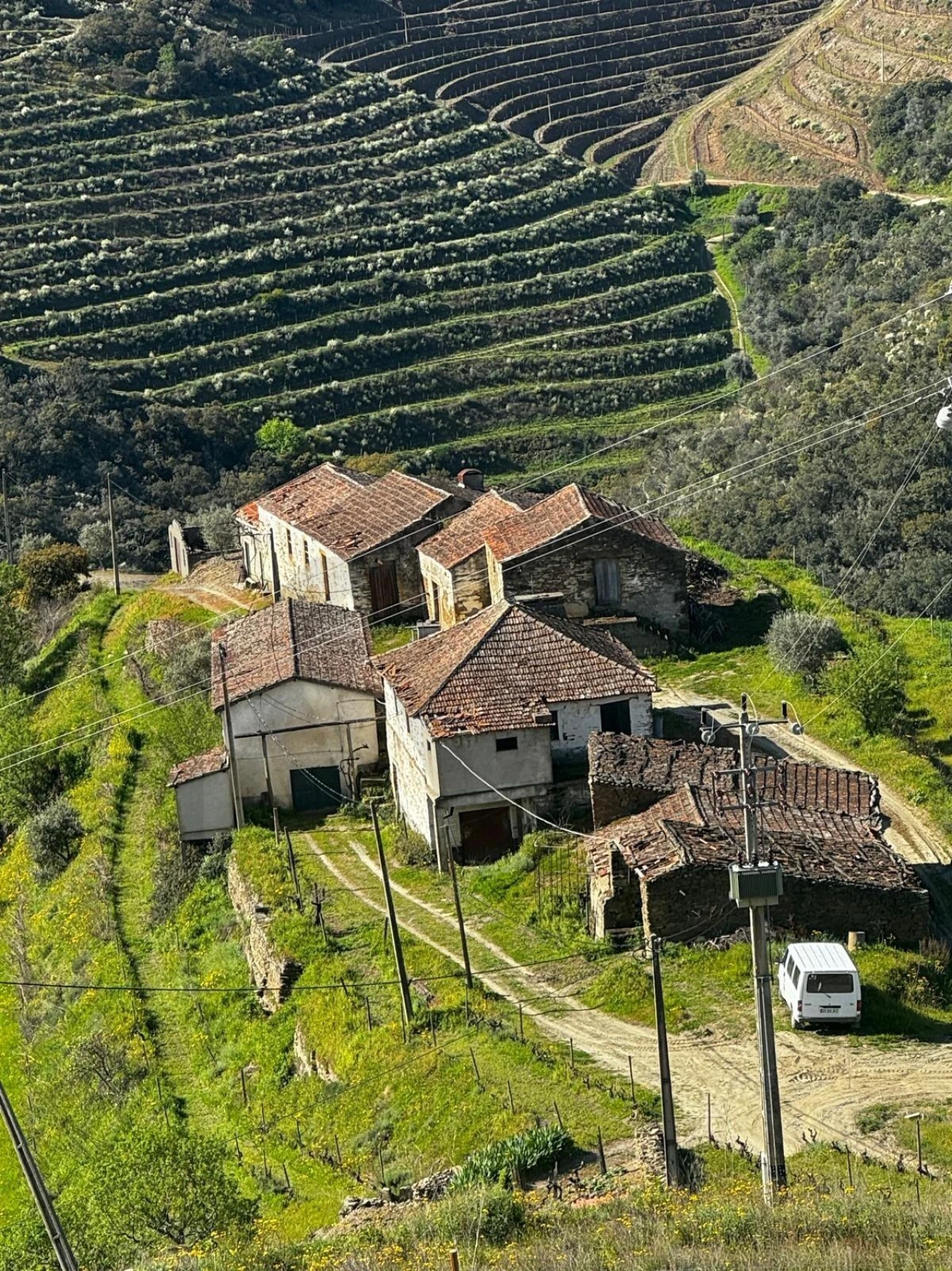 Quinta T5 para Venda em Ervedosa do Douro Foto 17