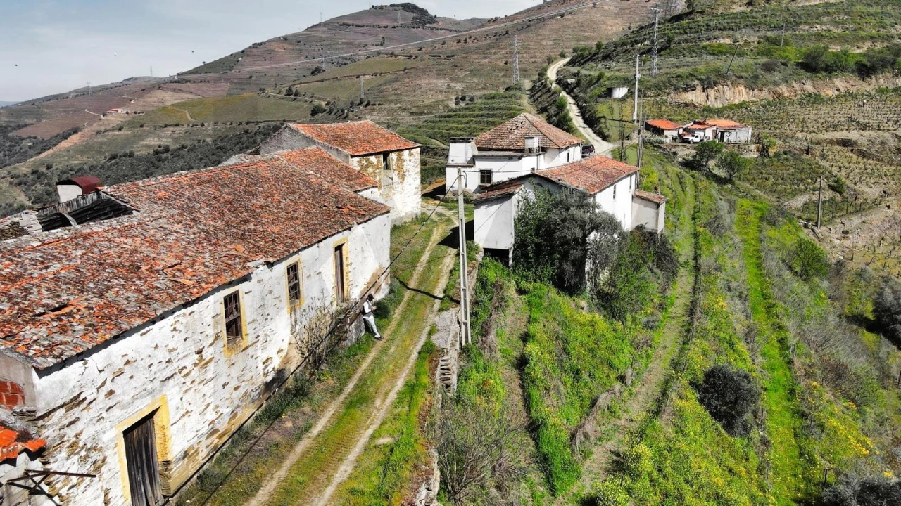 Quinta T5 para Venda em Ervedosa do Douro Foto 2
