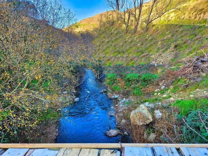 Quinta T5 para Venda em Ervedosa do Douro Foto 6