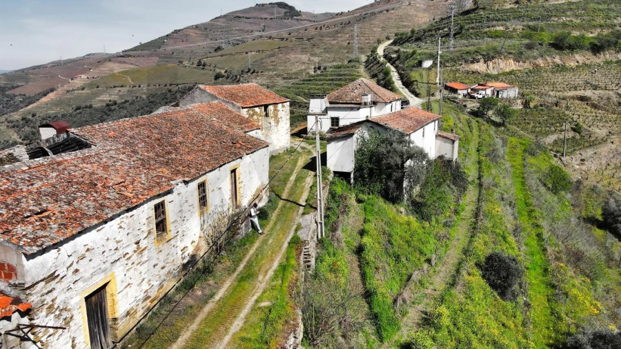 Quinta T5 para Venda em Ervedosa do Douro Foto 2