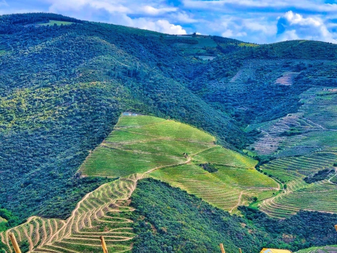 Quinta T5 para Venda em Ervedosa do Douro Foto 4