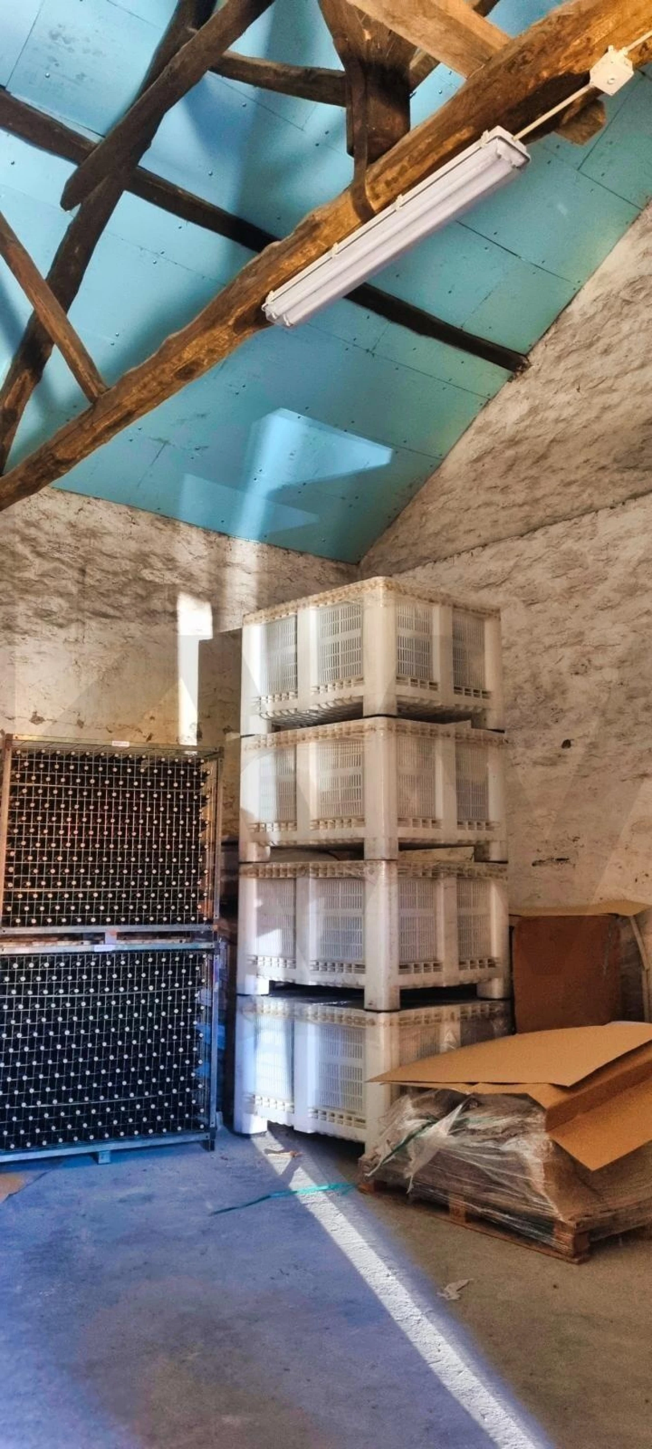 Quinta T5 para Venda em Ervedosa do Douro Foto 15