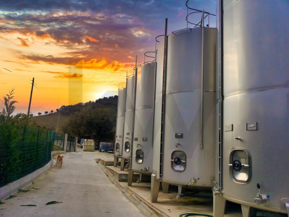 Quinta T5 para Venda em Ervedosa do Douro Foto 18