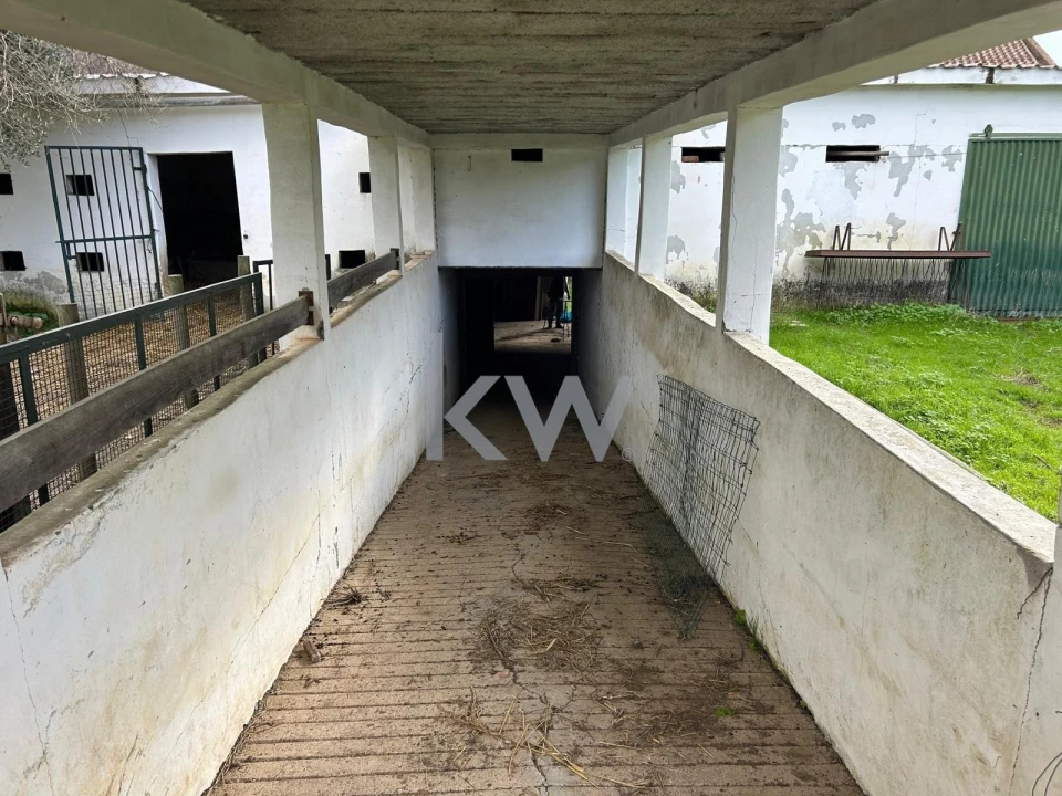 Quinta T10 para Venda em Alcaçovas Foto 15