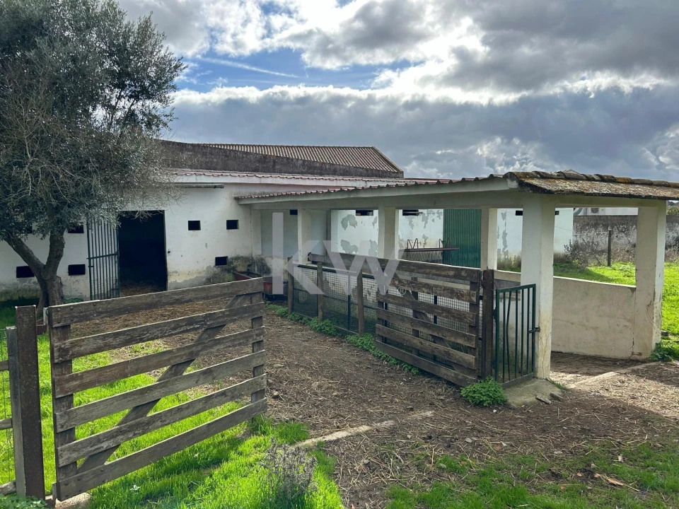 Quinta T10 para Venda em Alcaçovas Foto 16