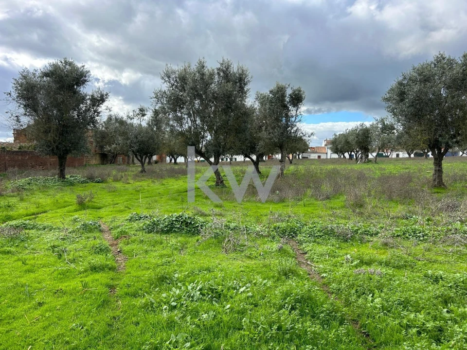 Quinta T10 para Venda em Alcaçovas Foto 19