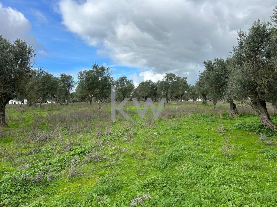 Quinta T10 para Venda em Alcaçovas Foto 21