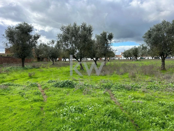 Quinta T10 para Venda em Alcaçovas Foto 19