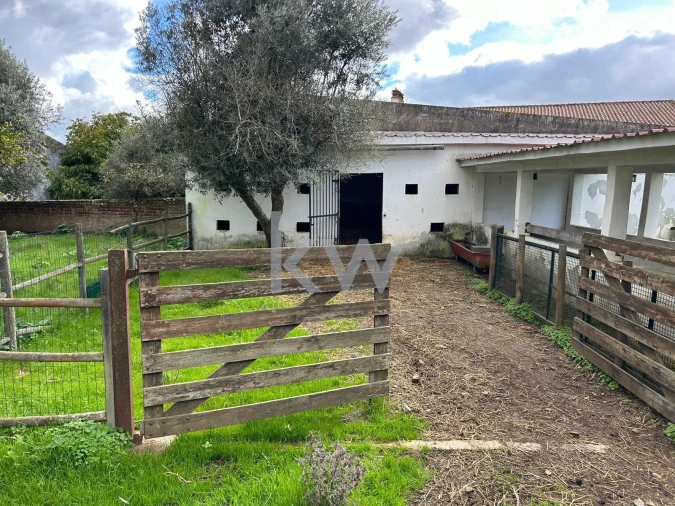 Quinta T10 para Venda em Alcaçovas Foto 17