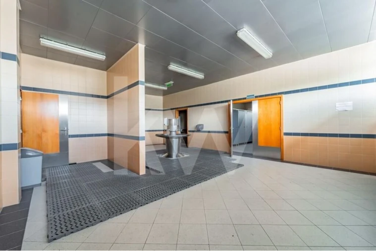 Armazém para Venda em Arrimal e Mendiga Foto 50