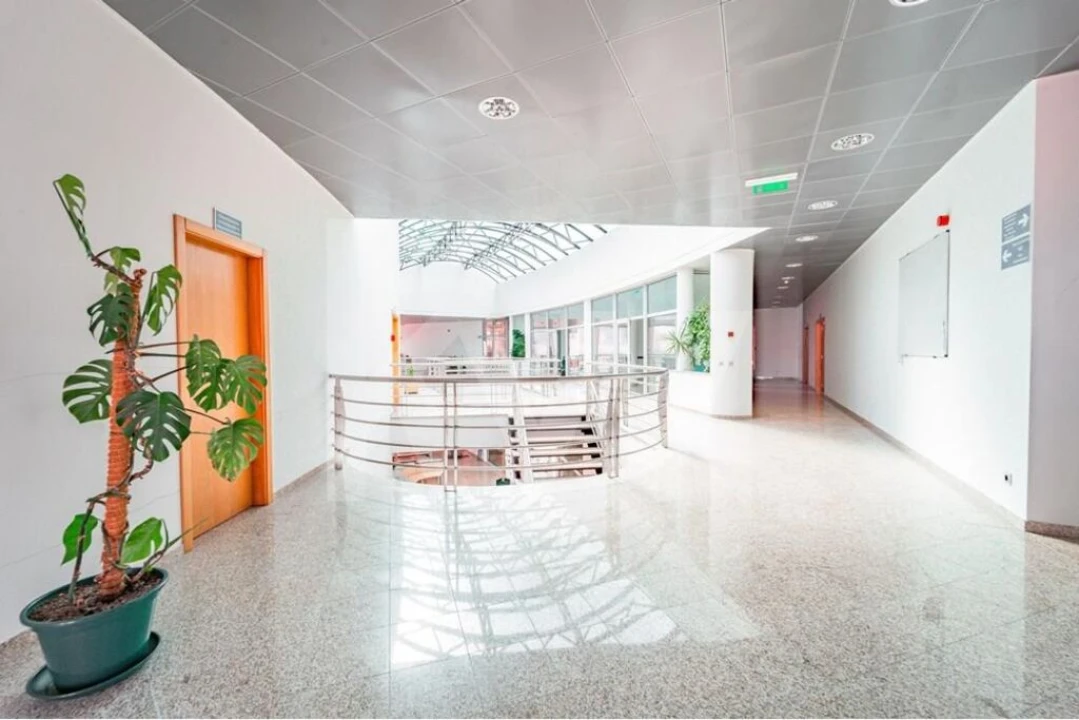 Armazém para Venda em Arrimal e Mendiga Foto 14