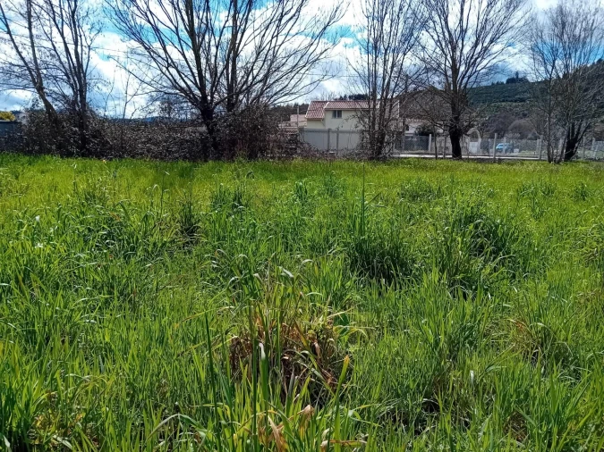 Terreno para Venda em Paul Foto 8