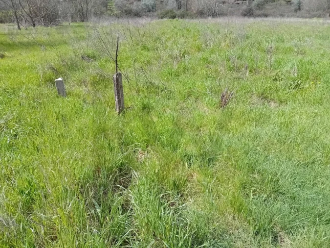 Terreno para Venda em Paul Foto 29