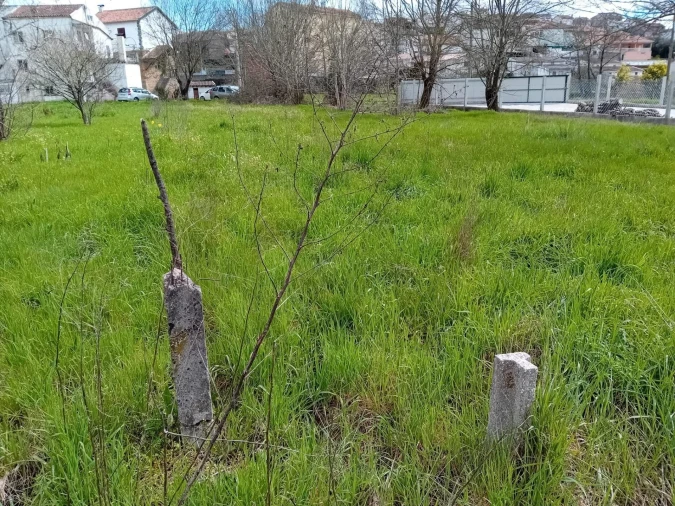 Terreno para Venda em Paul Foto 26