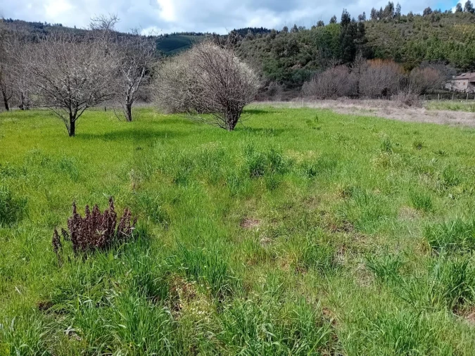 Terreno para Venda em Paul Foto 32