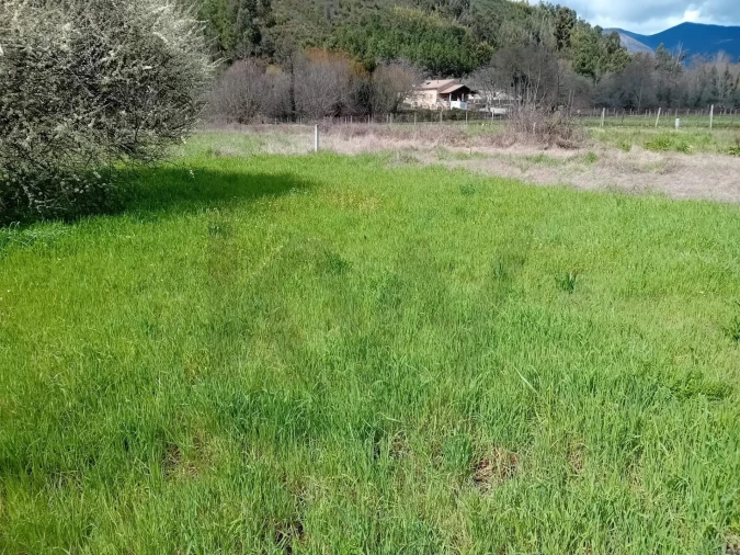 Terreno para Venda em Paul Foto 31