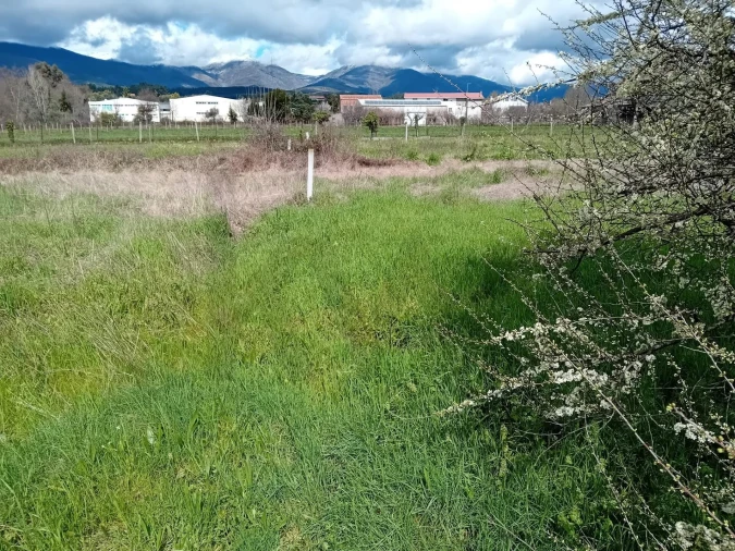 Terreno para Venda em Paul Foto 28