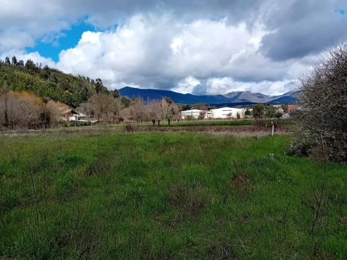 Terreno para Venda em Paul Foto 20