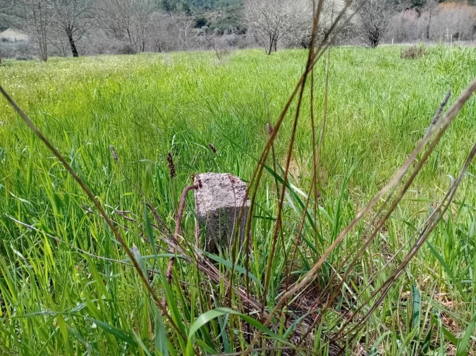 Terreno para Venda em Paul Foto 6