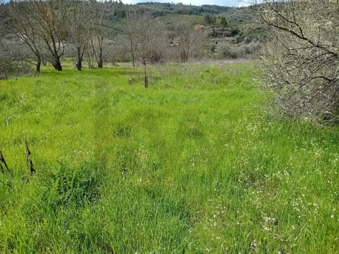 Terreno para Venda em Paul Foto 33