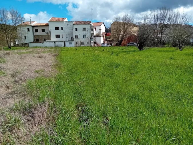 Terreno para Venda em Paul Foto 9