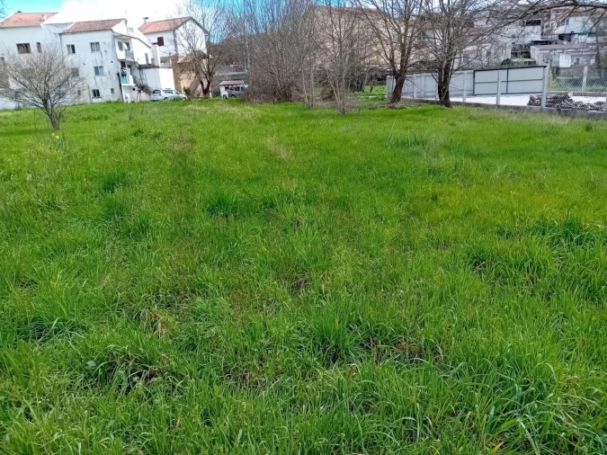 Terreno para Venda em Paul Foto 27