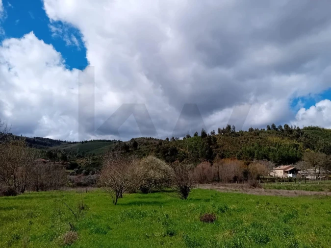 Terreno para Venda em Paul Foto 11