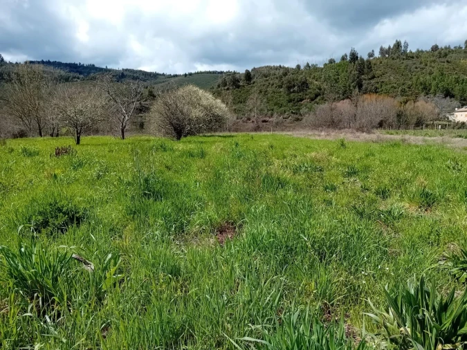 Terreno para Venda em Paul Foto 7