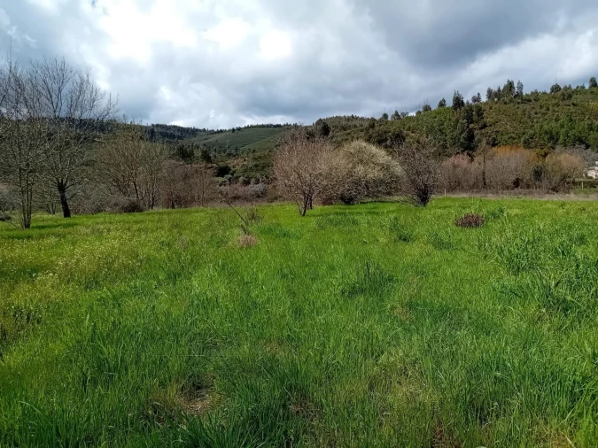 Terreno para Venda em Paul Foto 5