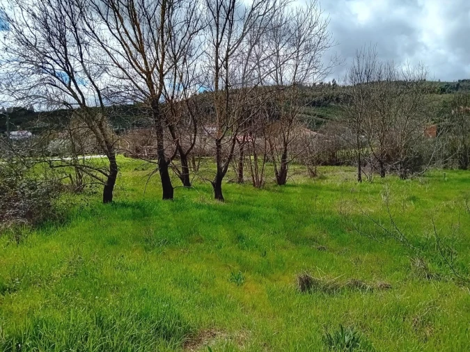 Terreno para Venda em Paul Foto 21