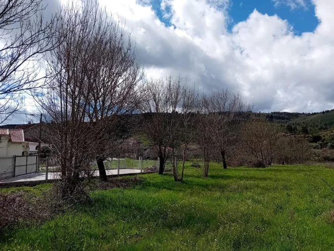 Terreno para Venda em Paul Foto 12