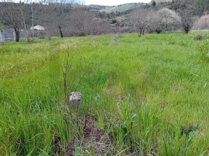 Terreno para Venda em Paul Foto 2